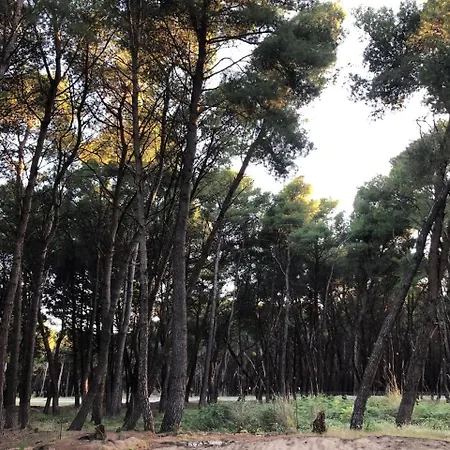 Apartment Topi Vlore