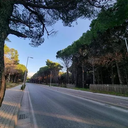 Topi Apartament Wlora