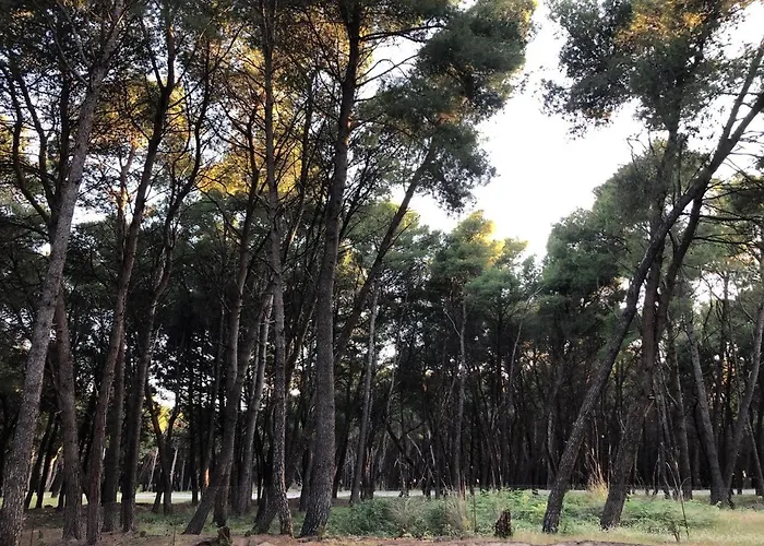 Apartment Topi Vlorë